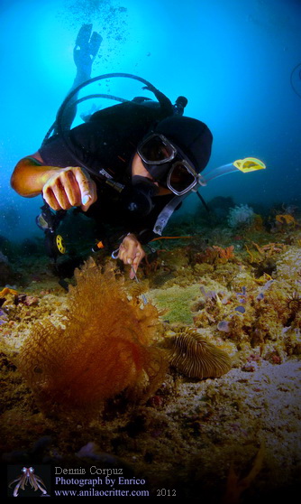 Scuba Dive in Anilao - Underwater Macro Photography, Anilao Muck dive.